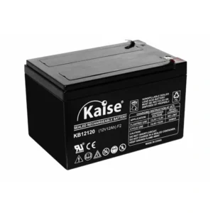 Batería 12V 12Ah AGM Kaise